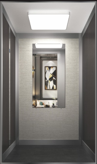 Home Elevator2